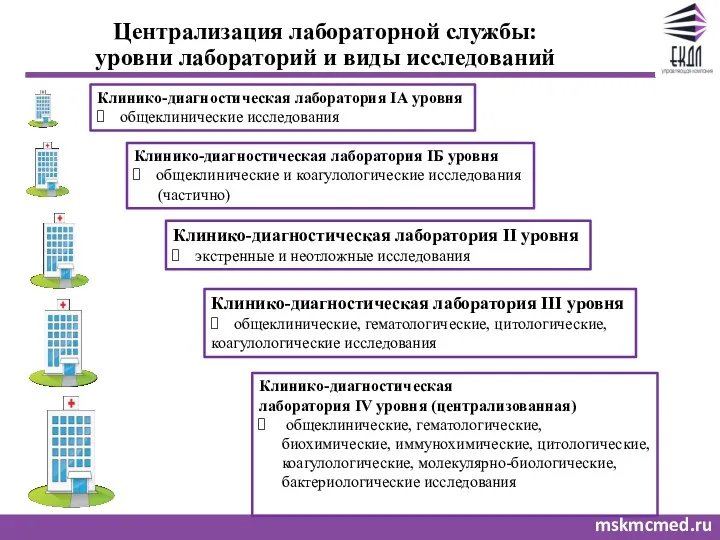 mskmcmed.ru Централизация лабораторной службы: уровни лабораторий и виды исследований Клинико-диагностическая лаборатория IА уровня