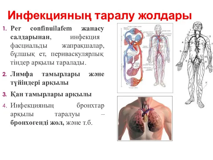 Per confinuilafem жанасу салдарынан, инфекция фасциальды жапрақшалар, бұлшық ет, периваскулярлық