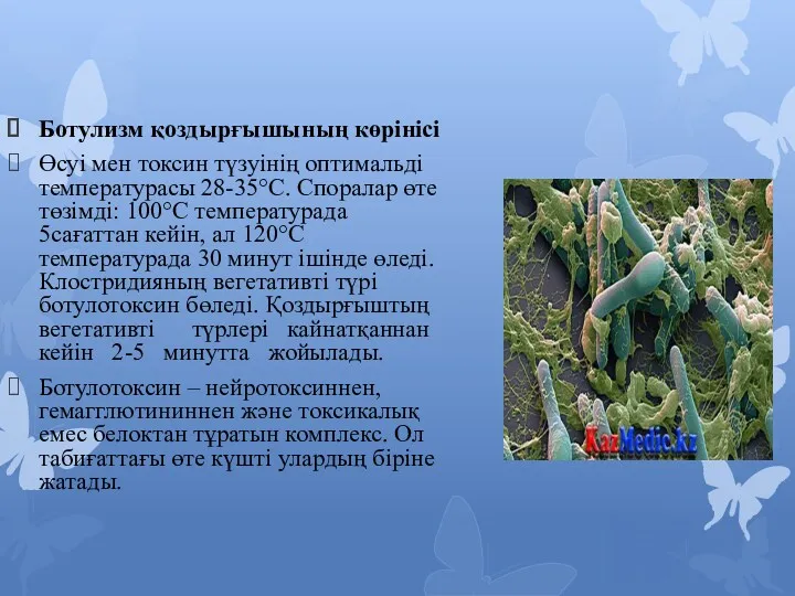 Ботулизм қоздырғышының көрінісі Өсуі мен токсин түзуінің оптимальді температурасы 28-35°С.