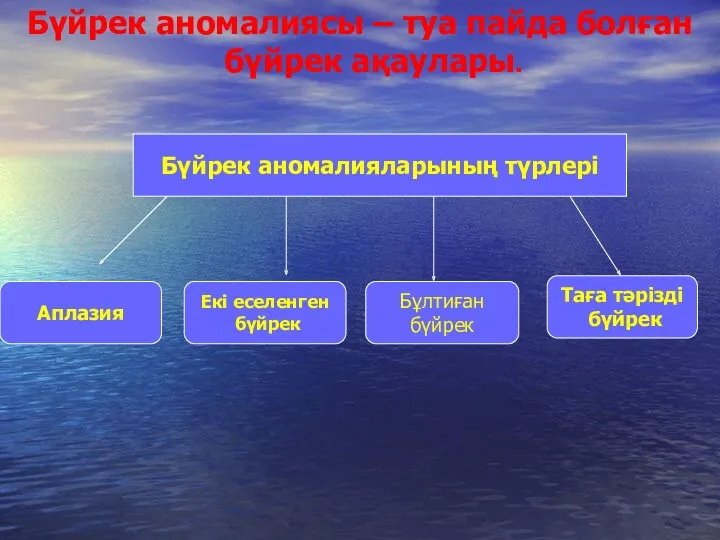 Бүйрек аномалиясы – туа пайда болған бүйрек ақаулары. Бүйрек аномалияларының