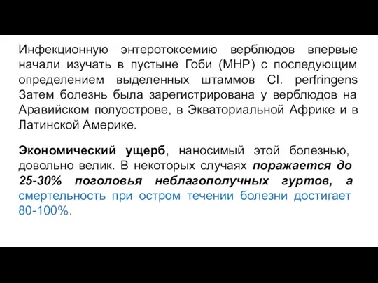 Инфекционную энтеротоксемию верблюдов впервые начали изучать в пустыне Гоби (МНР)