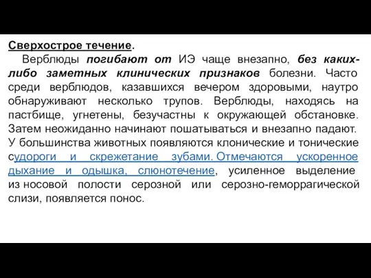 Сверхострое течение. Верблюды погибают от ИЭ чаще внезапно, без каких-либо