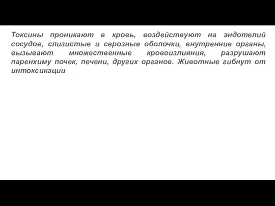 Токсины проникают в кровь, воздействуют на эндотелий сосудов, слизистые и