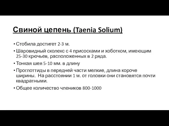 Свиной цепень (Taenia Solium) Стобила достигет 2-3 м. Шаровидный сколекс