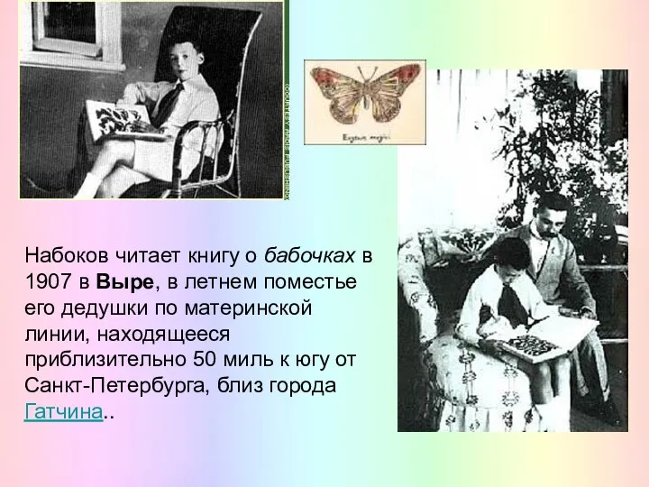Набоков читает книгу о бабочках в 1907 в Выре, в