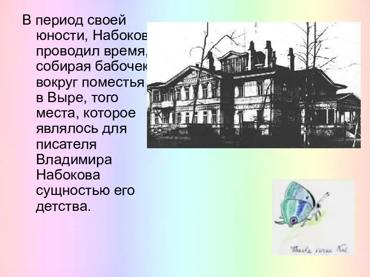 В период своей юности, Набоков проводил время, собирая бабочек вокруг