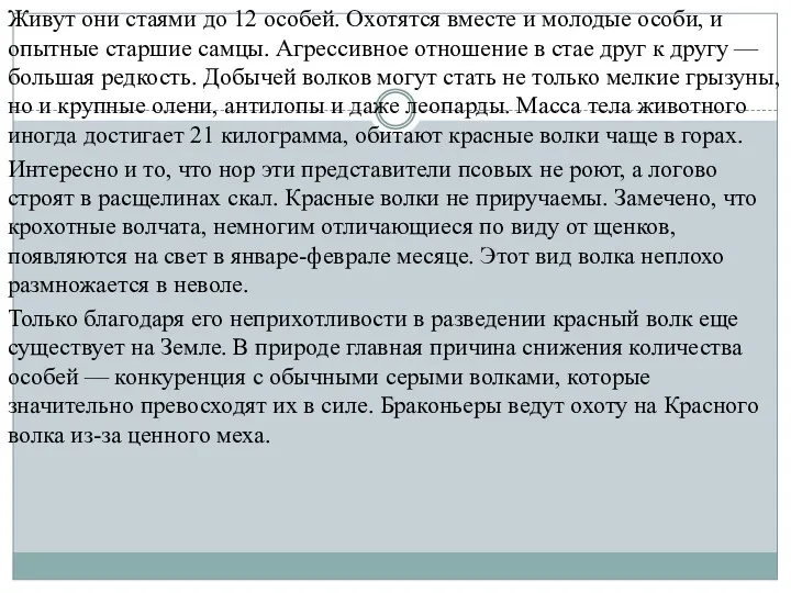 Живут они стаями до 12 особей. Охотятся вместе и молодые