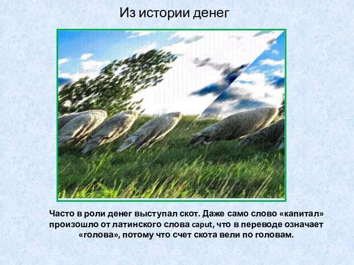 Часто в роли денег выступал скот. Даже само слово «капитал»