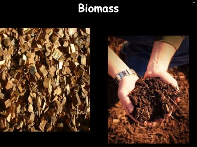 * Biomass