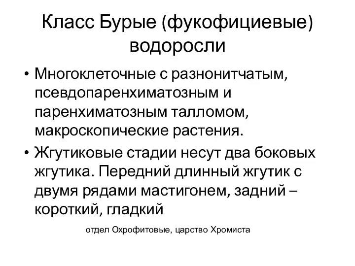 Класс Бурые (фукофициевые) водоросли Многоклеточные с разнонитчатым, псевдопаренхиматозным и паренхиматозным