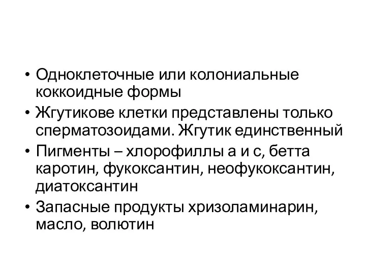 Одноклеточные или колониальные коккоидные формы Жгутикове клетки представлены только сперматозоидами.