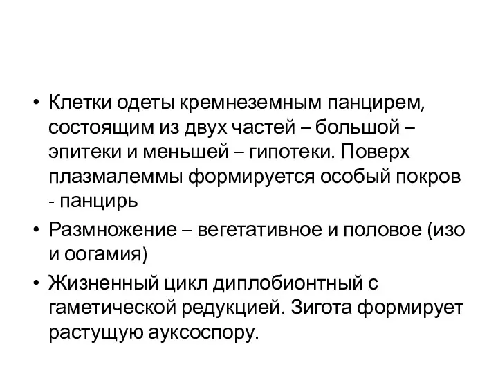 Клетки одеты кремнеземным панцирем, состоящим из двух частей – большой