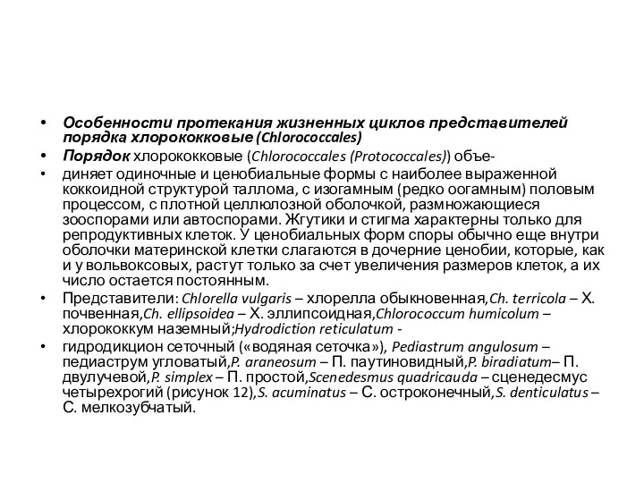 Особенности протекания жизненных циклов представителей порядка хлорококковые (Chlorococcales) Порядок хлорококковые