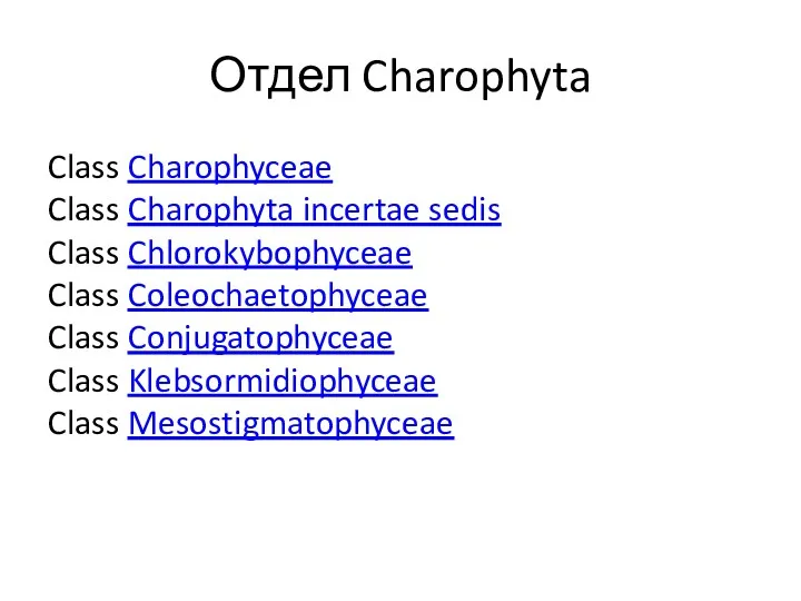 Отдел Charophyta Class Charophyceae Class Charophyta incertae sedis Class Chlorokybophyceae