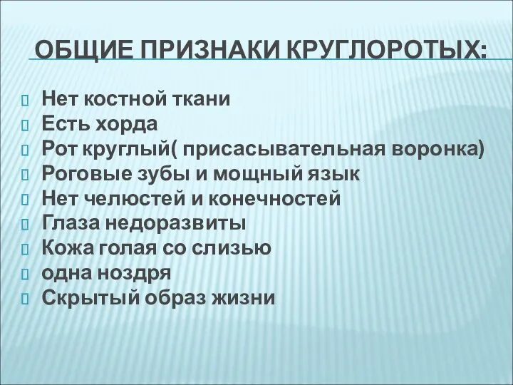 ОБЩИЕ ПРИЗНАКИ КРУГЛОРОТЫХ: Нет костной ткани Есть хорда Рот круглый(