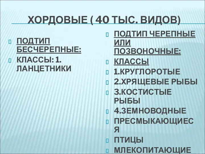 ХОРДОВЫЕ ( 40 ТЫС. ВИДОВ) ПОДТИП БЕСЧЕРЕПНЫЕ: КЛАССЫ: 1.ЛАНЦЕТНИКИ ПОДТИП