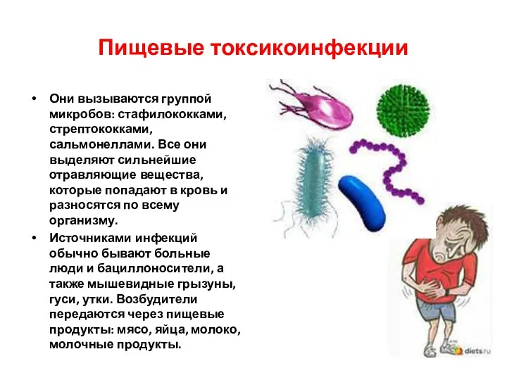 Пищевые токсикоинфекции Они вызываются группой микробов: стафилококками, стрептококками, сальмонеллами. Все они выделяют сильнейшие