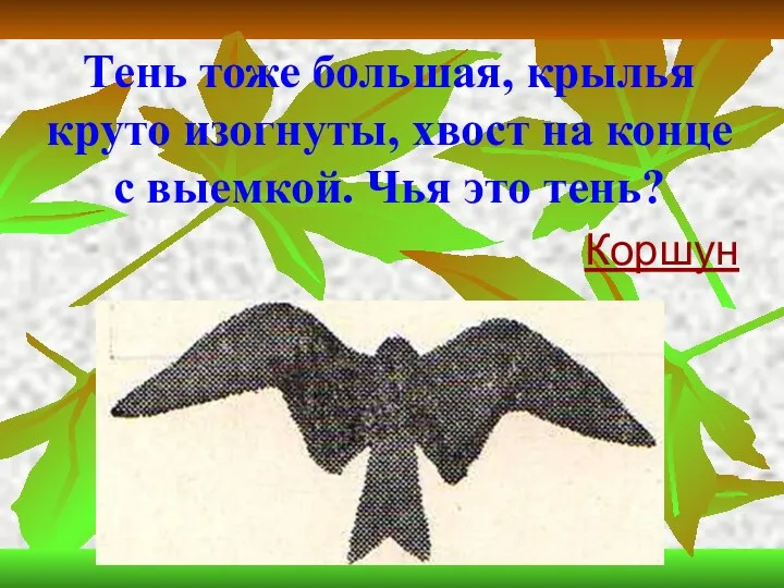 Тень тоже большая, крылья круто изогнуты, хвост на конце с выемкой. Чья это тень? Коршун