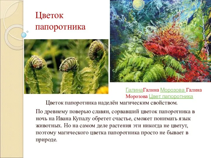 Цветок папоротника Цветок папоротника наделён магическим свойством. По древнему поверью