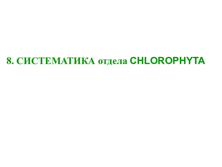 8. СИСТЕМАТИКА отдела CHLOROPHYTA