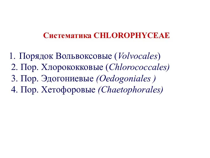 Систематика CHLOROPHYCEAE Порядок Вольвоксовые (Volvocales) 2. Пор. Хлорококковые (Chlorococcales) 3.