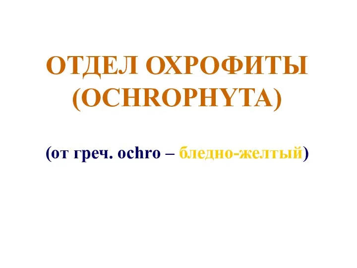 ОТДЕЛ ОХРОФИТЫ (OCHROPHYTA) (от греч. ochro – бледно-желтый)