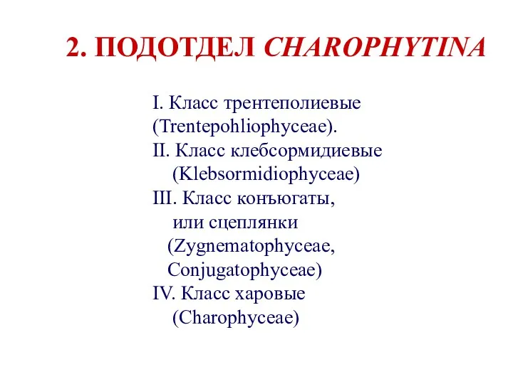 2. ПОДОТДЕЛ CHAROPHYTINA I. Класс трентеполиевые (Trentepohliophyceae). II. Класс клебсормидиевые