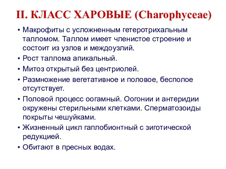 Макрофиты с усложненным гетеротрихальным талломом. Таллом имеет членистое строение и