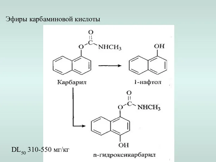 Эфиры карбаминовой кислоты DL50 310-550 мг/кг