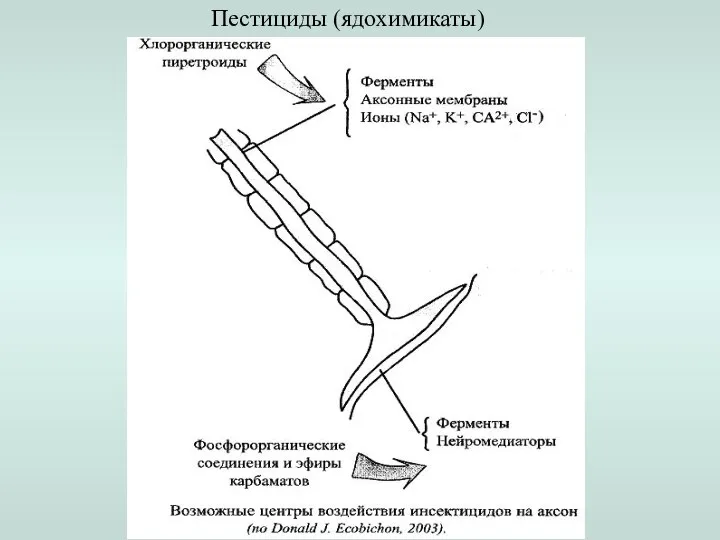 Пестициды (ядохимикаты)