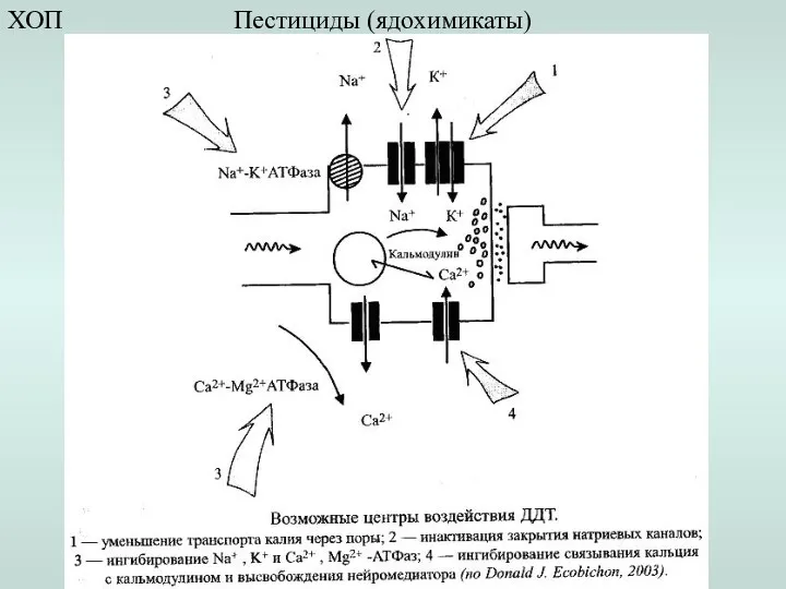 Пестициды (ядохимикаты) ХОП