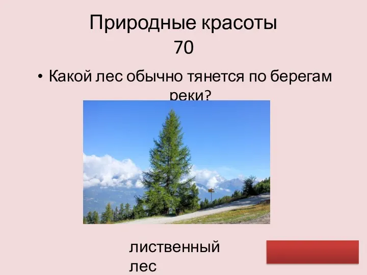 Природные красоты 70 Какой лес обычно тянется по берегам реки? лиственный лес