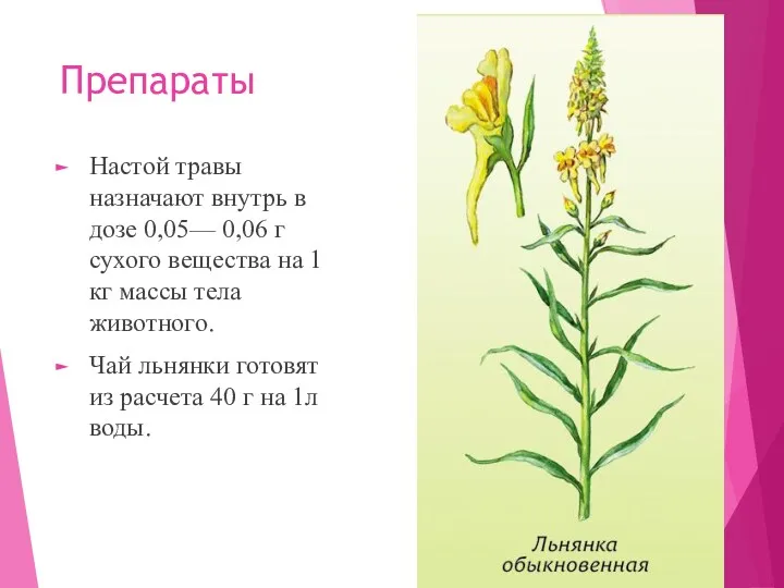 Препараты Настой травы назначают внутрь в дозе 0,05— 0,06 г сухого вещества на