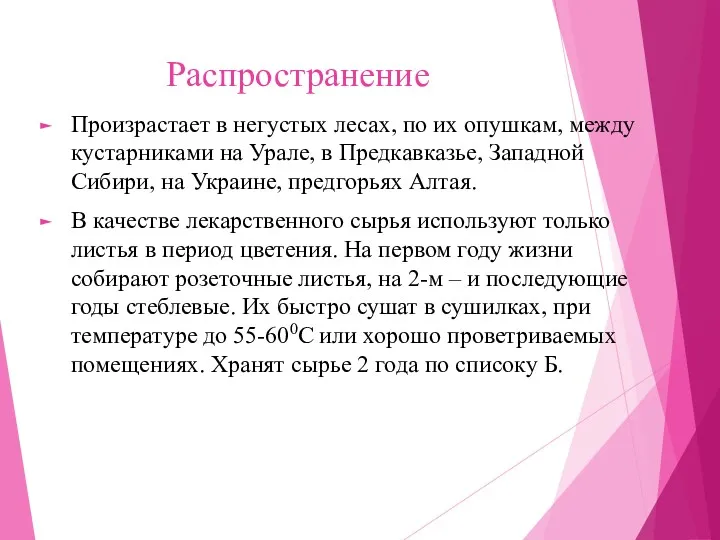 Распространение Произрастает в негустых лесах, по их опушкам, между кустарниками