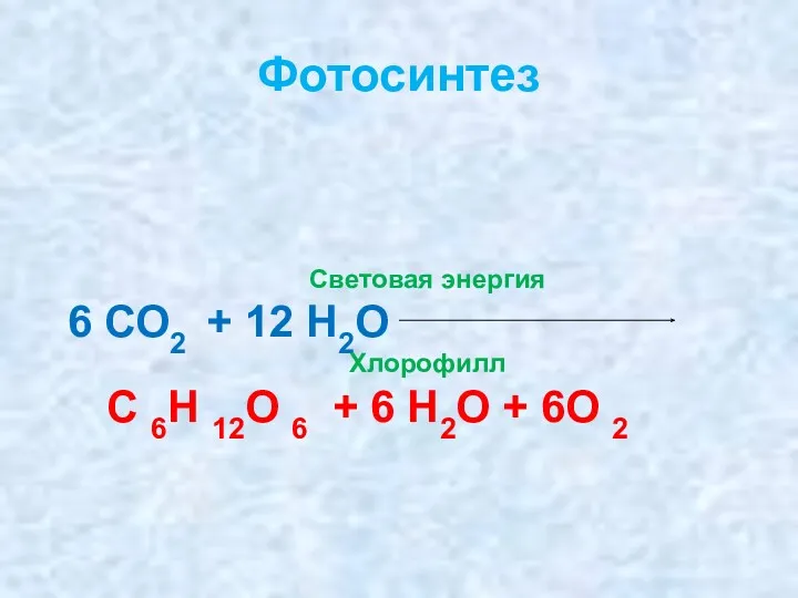 Фотосинтез Световая энергия 6 СО2 + 12 Н2О Хлорофилл С
