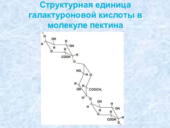 Структурная единица галактуроновой кислоты в молекуле пектина