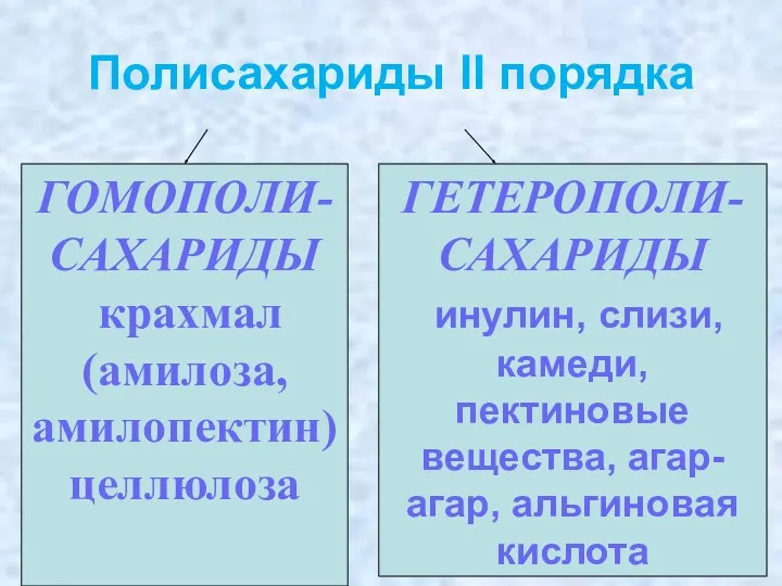 Полисахариды II порядка ГОМОПОЛИ-САХАРИДЫ крахмал (амилоза, амилопектин)целлюлоза ГЕТЕРОПОЛИ-САХАРИДЫ инулин, слизи, камеди, пектиновые вещества, агар-агар, альгиновая кислота