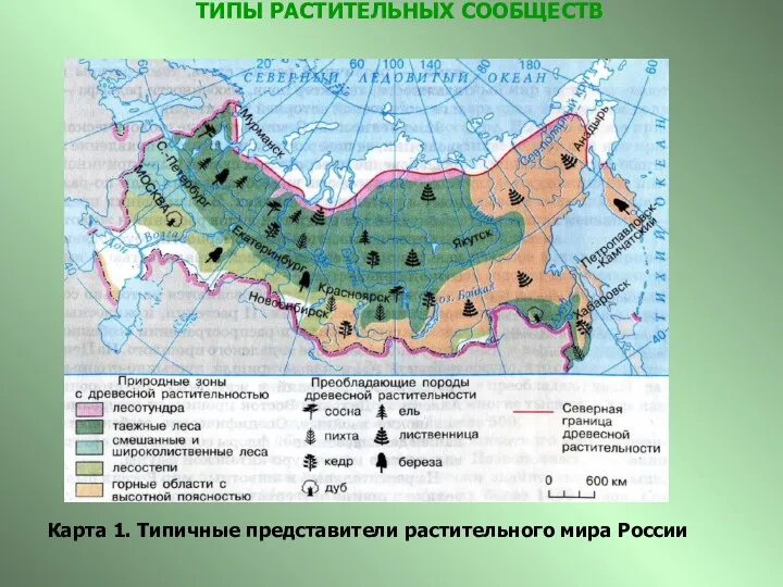 ТИПЫ РАСТИТЕЛЬНЫХ СООБЩЕСТВ Карта 1. Типичные представители растительного мира России