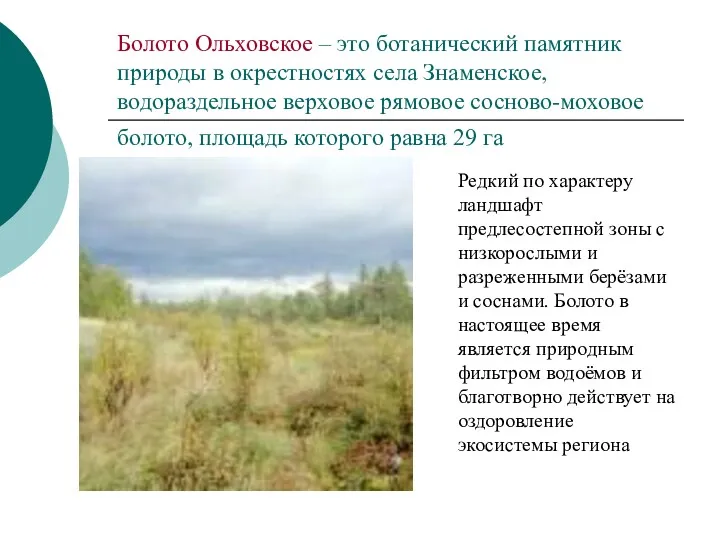 Болото Ольховское – это ботанический памятник природы в окрестностях села Знаменское, водораздельное верховое