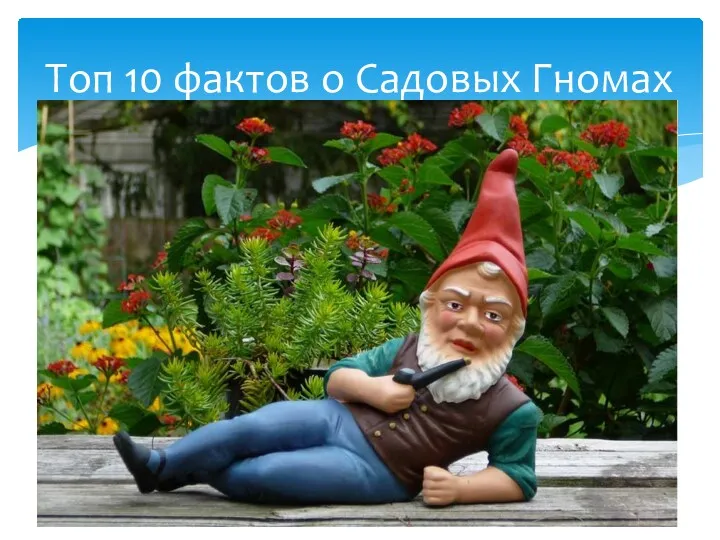 Топ 10 фактов о Садовых Гномах