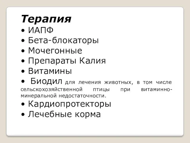 Терапия • ИАПФ • Бета-блокаторы • Мочегонные • Препараты Калия