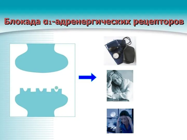 Блокада α1-адренергических рецепторов снижение АД сонливость, вялость головокружение