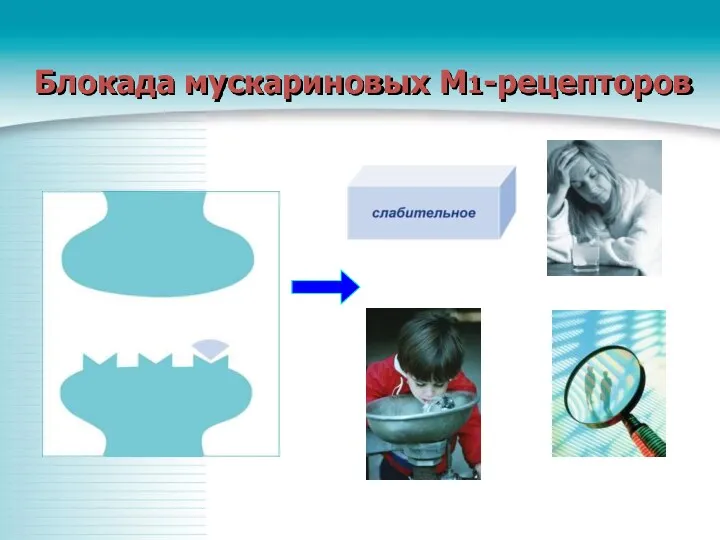 Блокада мускариновых М1-рецепторов сонливость, вялость запоры нечеткость зрения, диплопия сухость во рту