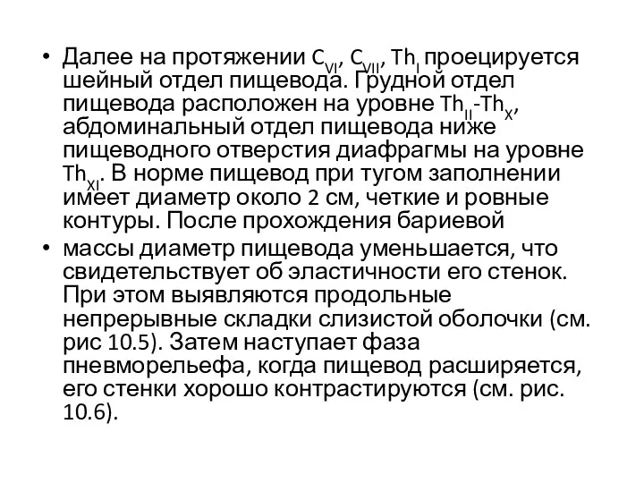 Далее на протяжении CVI, CVII, ThI проецируется шейный отдел пищевода.