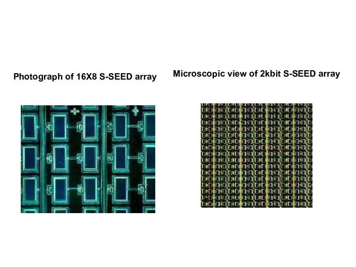 Photograph of 16X8 S-SEED array Microscopic view of 2kbit S-SEED array