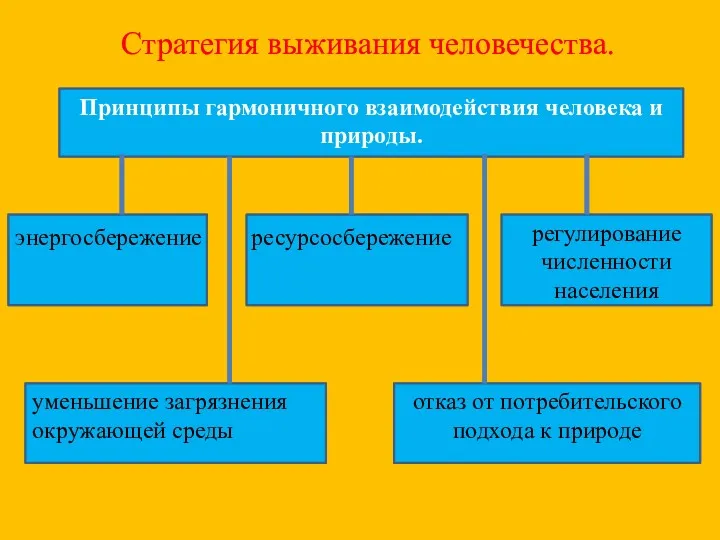 Стратегия выживания человечества. Принципы гармоничного взаимодействия человека и природы. энергосбережение