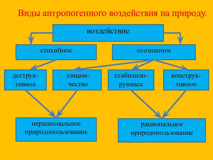 Виды антропогенного воздействия на природу. стихийное осознанное воздействие деструк-тивное хищни-чество