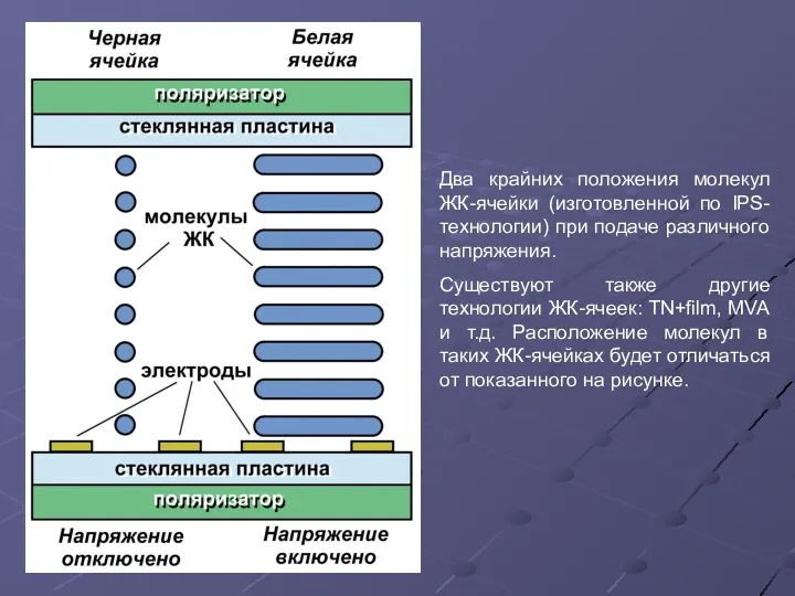 Два крайних положения молекул ЖК-ячейки (изготовленной по IPS-технологии) при подаче