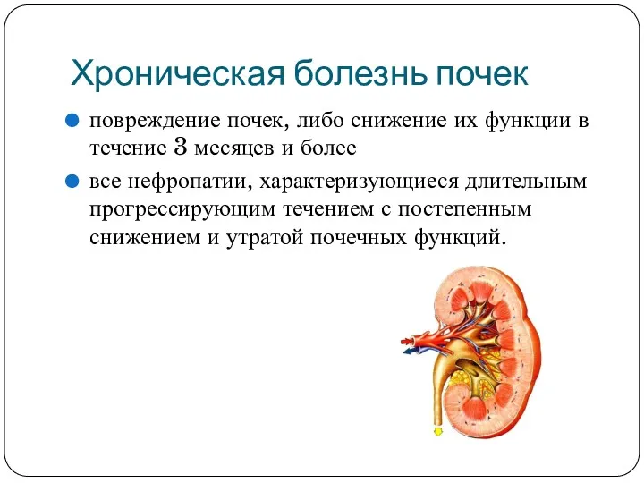 Хроническая болезнь почек повреждение почек, либо снижение их функции в