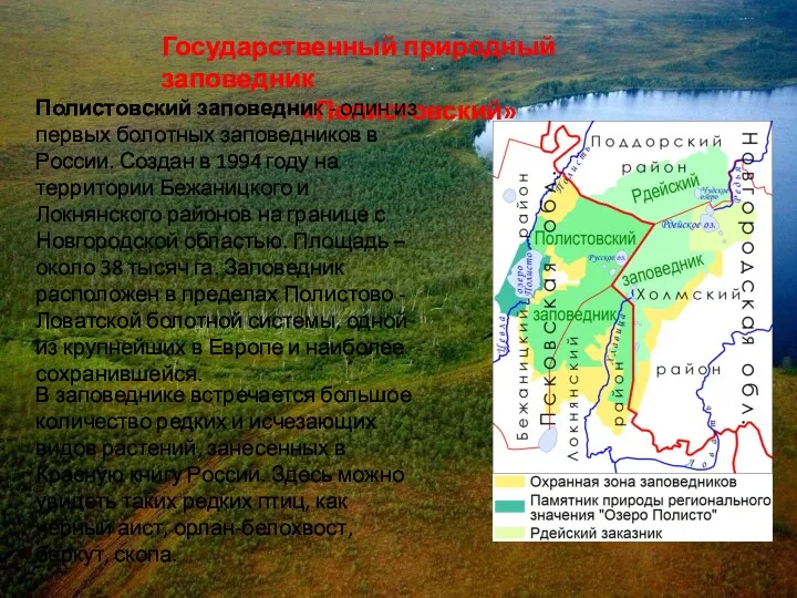 Государственный природный заповедник «Полистовский» Полистовский заповедник - один из первых